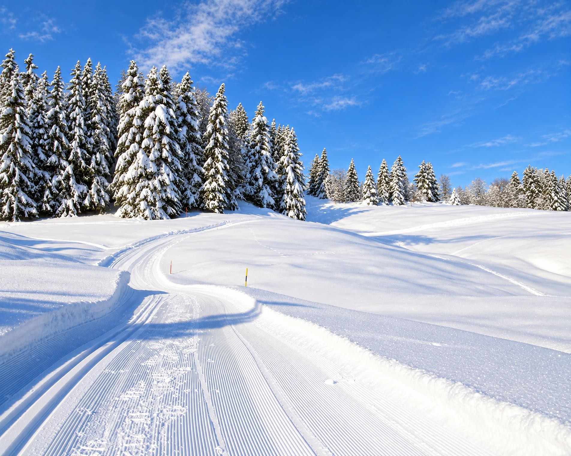 Piste de la Tourbière
