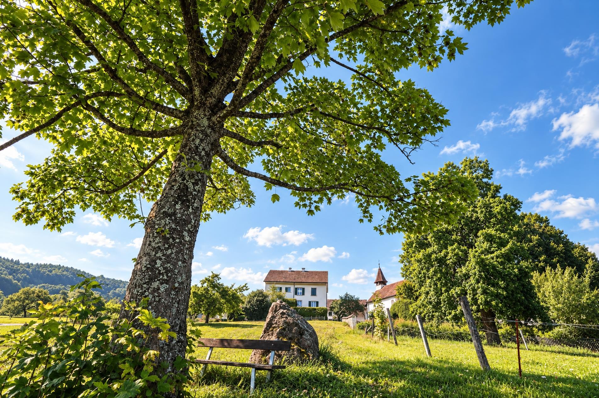 Reiatweg