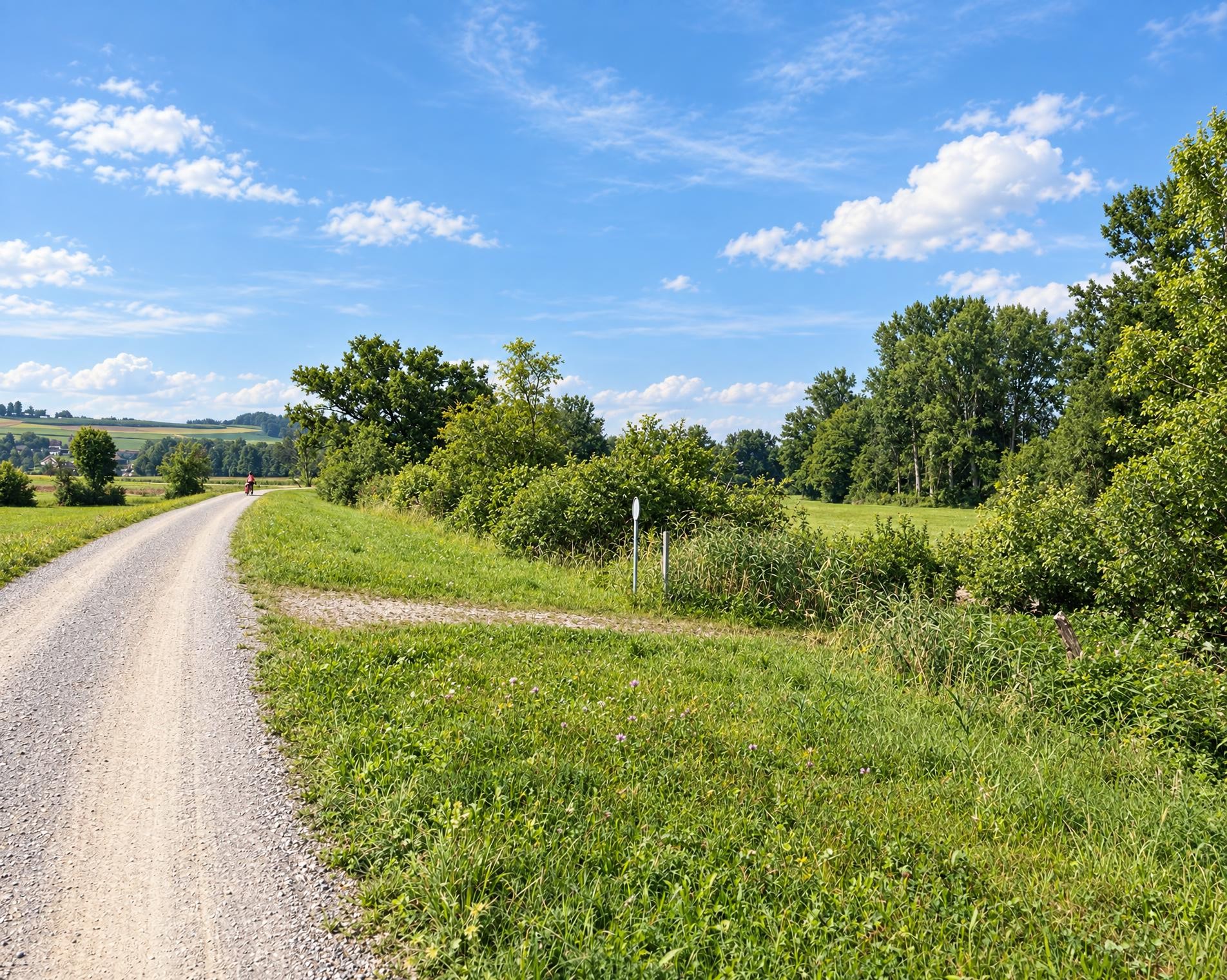 Reuss-Uferweg