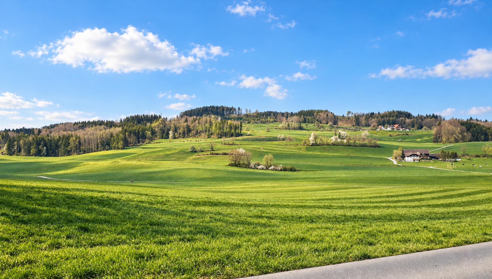 Rickenbach - Menziken - Pfeffikon, Sagenhafter Stierenberg