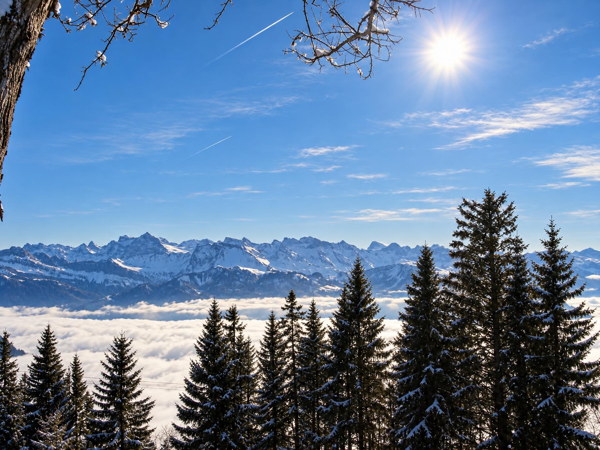 Rigi First Weg