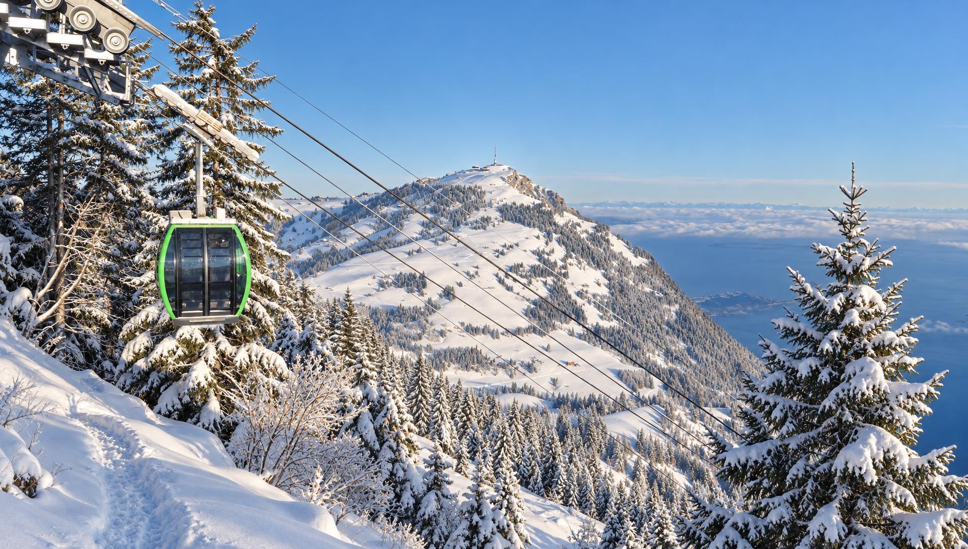 Rigi Scheidegg Trail