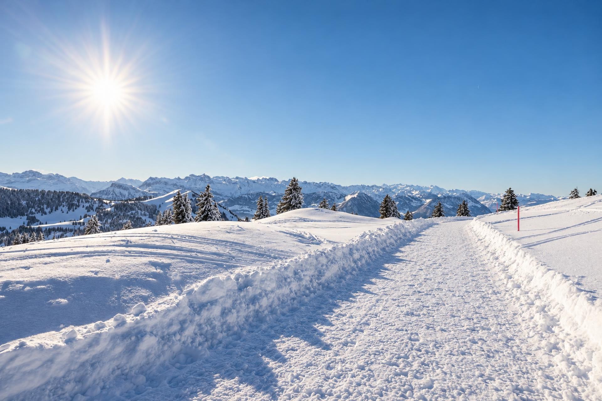 Rigi Schwändiweg