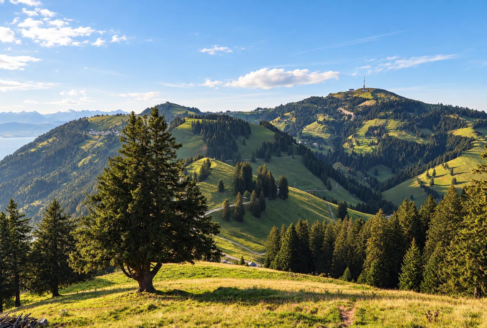 Rigi - Weg der Naturschätze