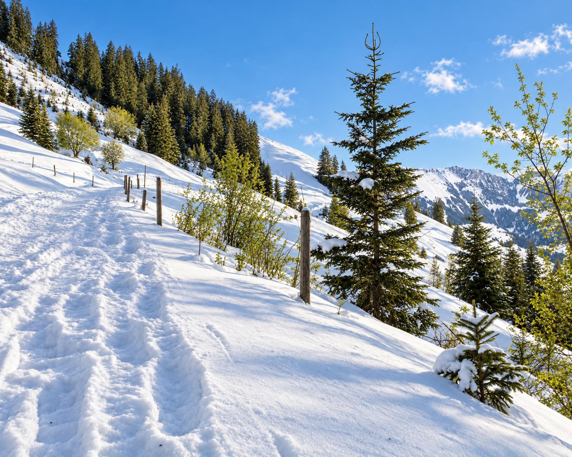 Rossberg-Schneeschuhtrail