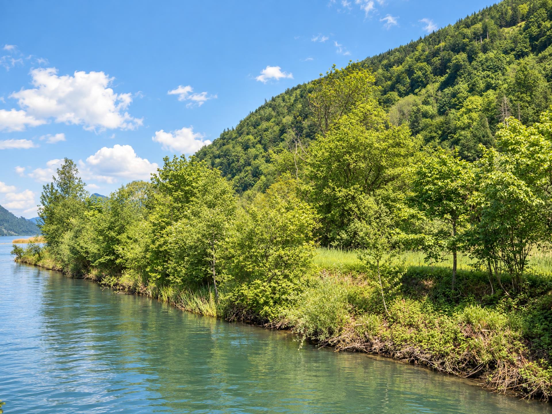 Rund um den Alpnachersee