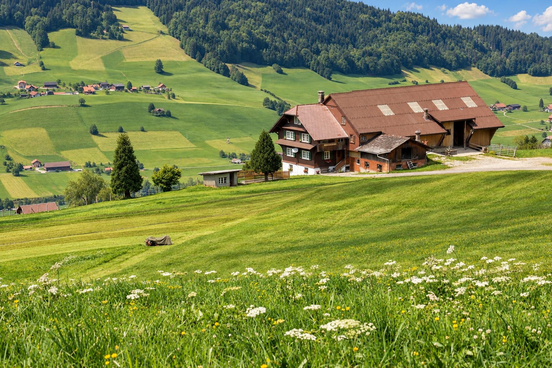 Heiligkreuz–Farnere–First Circular Hike
