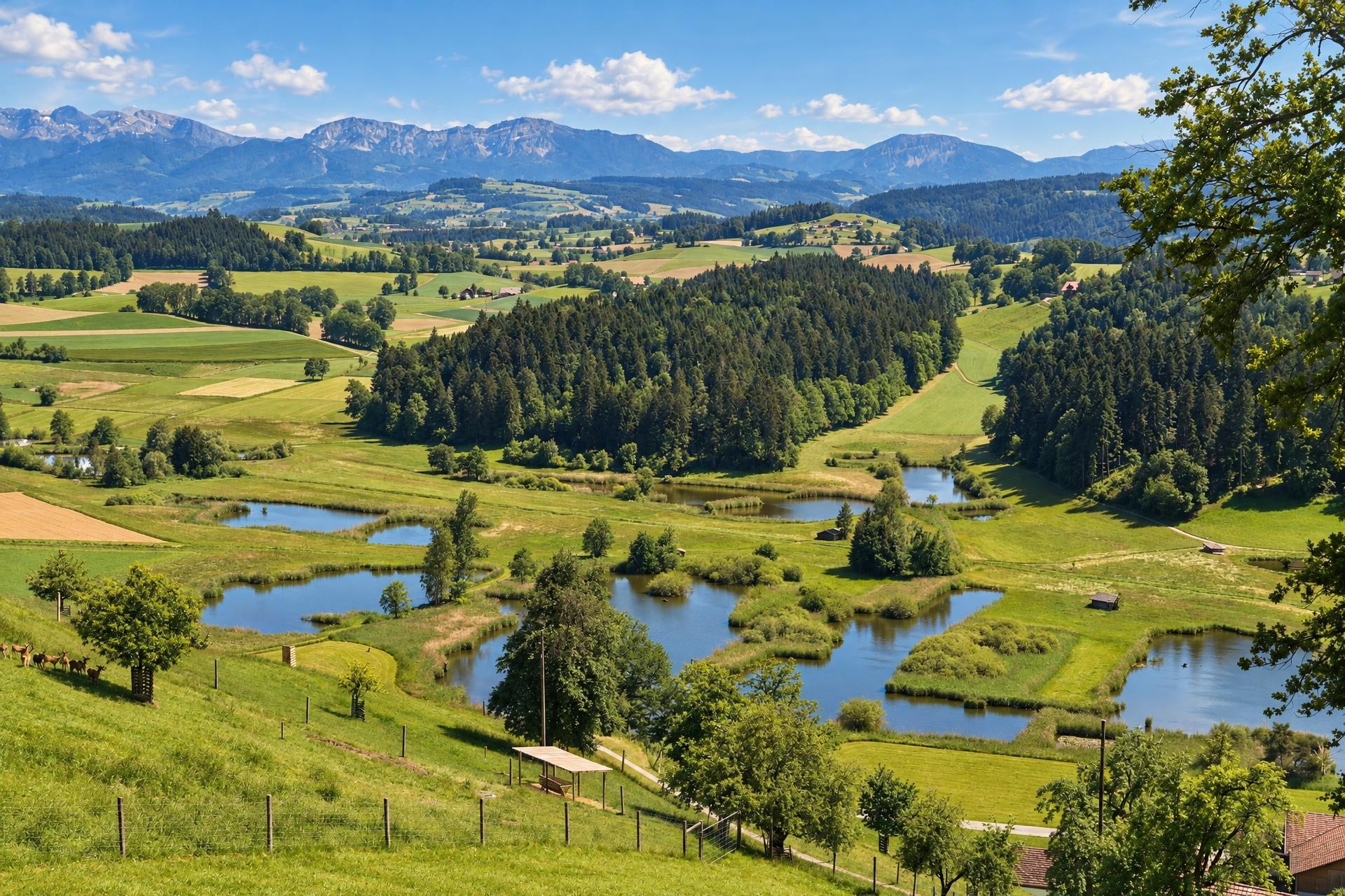 Rundwanderung Willisau - Ostergau