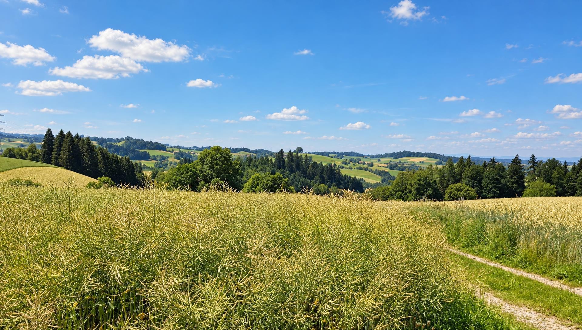 Challenging Willisau Circular Hike (National Hiking Day)