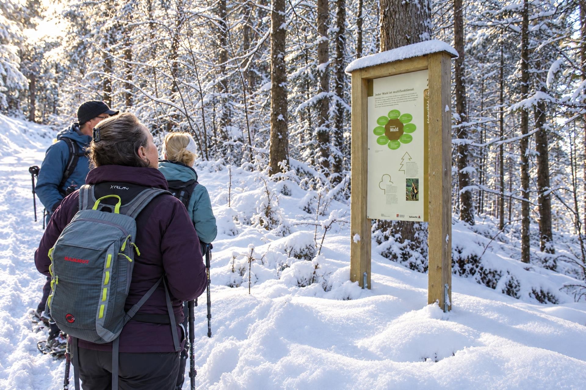 Snowshoe Trail on the First near Heiligkreuz