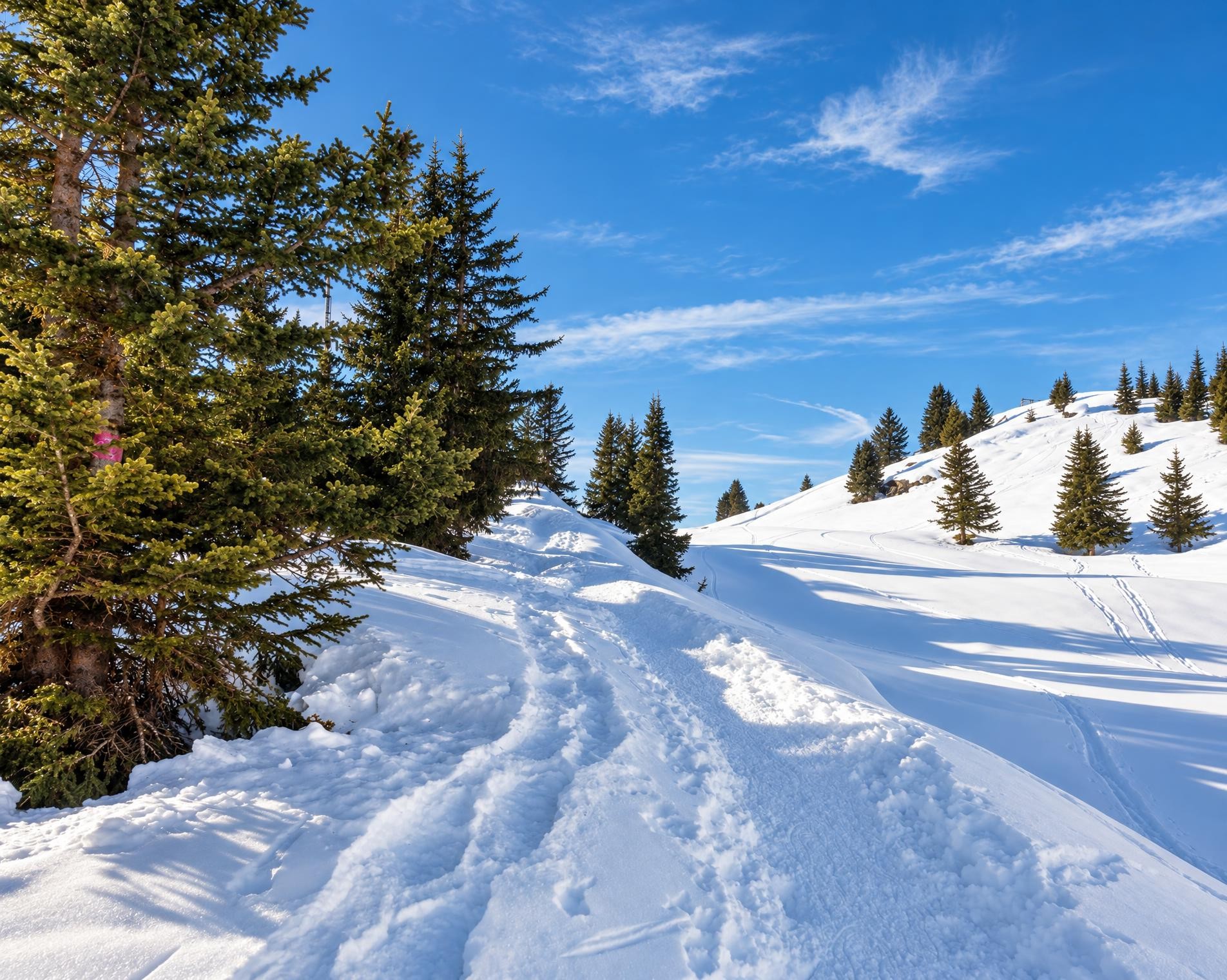 Schneeschuhtrail Bettmeralp–Riederalp