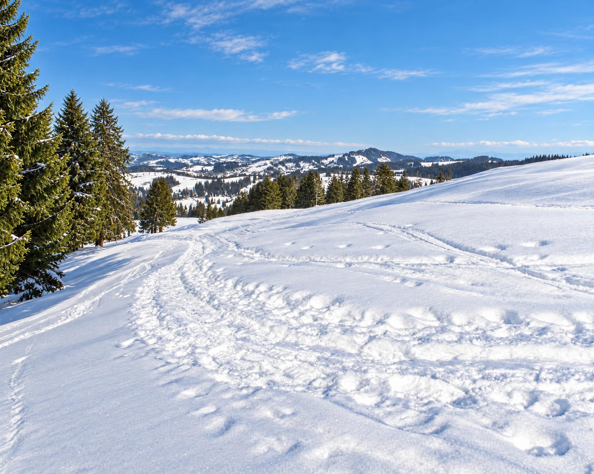 Schneeschuhtrail Hemberg–Ennetbühl