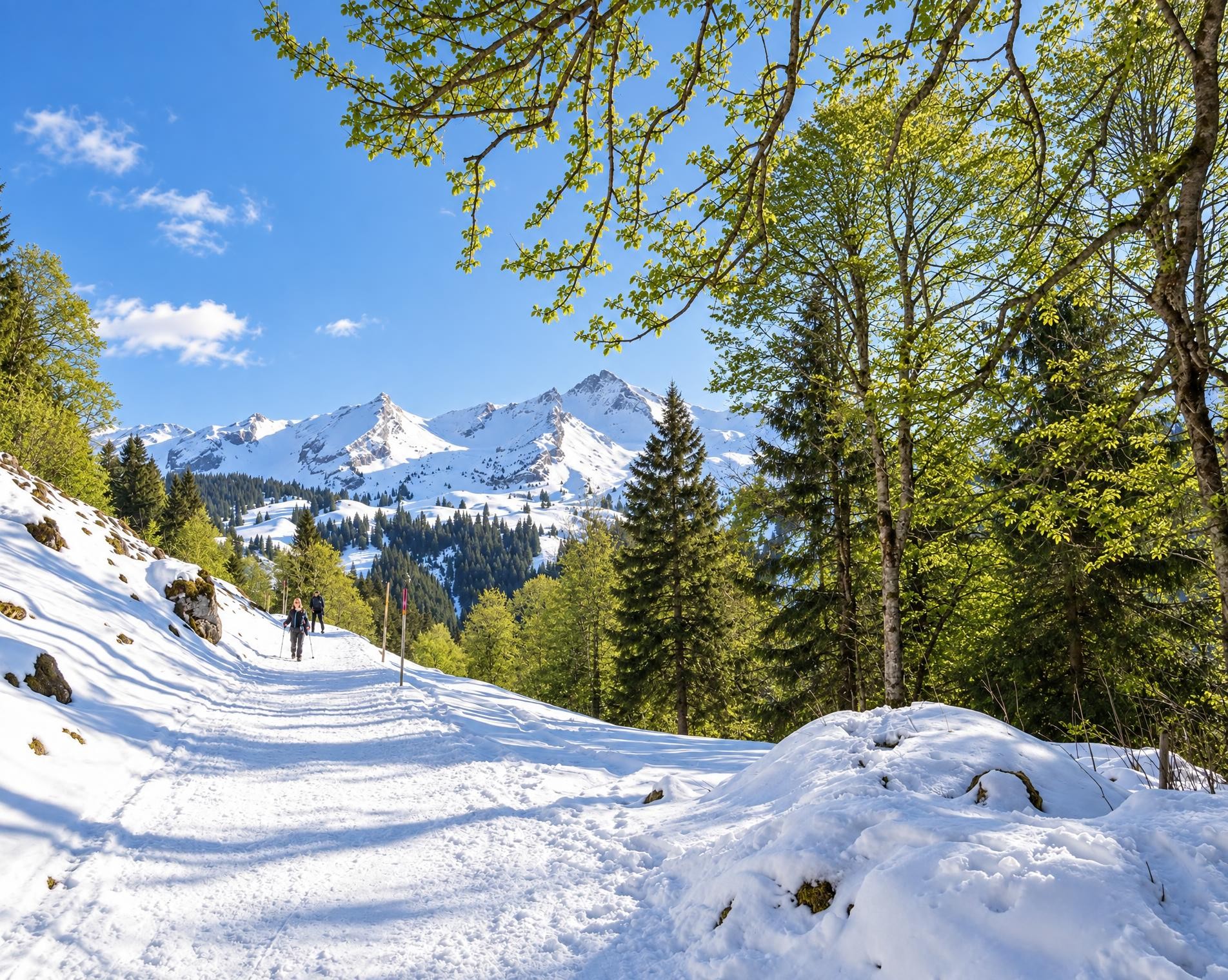 Schneeschuhtrail Maria-Rickenbach