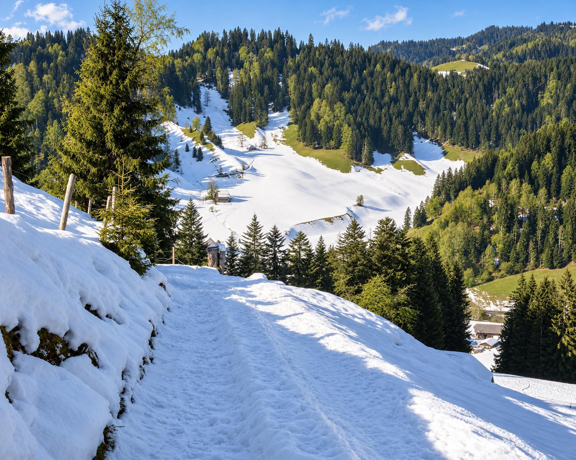 Schneeschuhtrail Ober Altösch