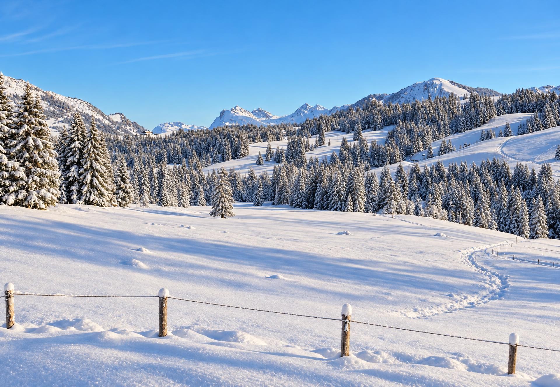 Schönebode–Blattenegg–Salwideli Snowshoe Trail in Sörenberg