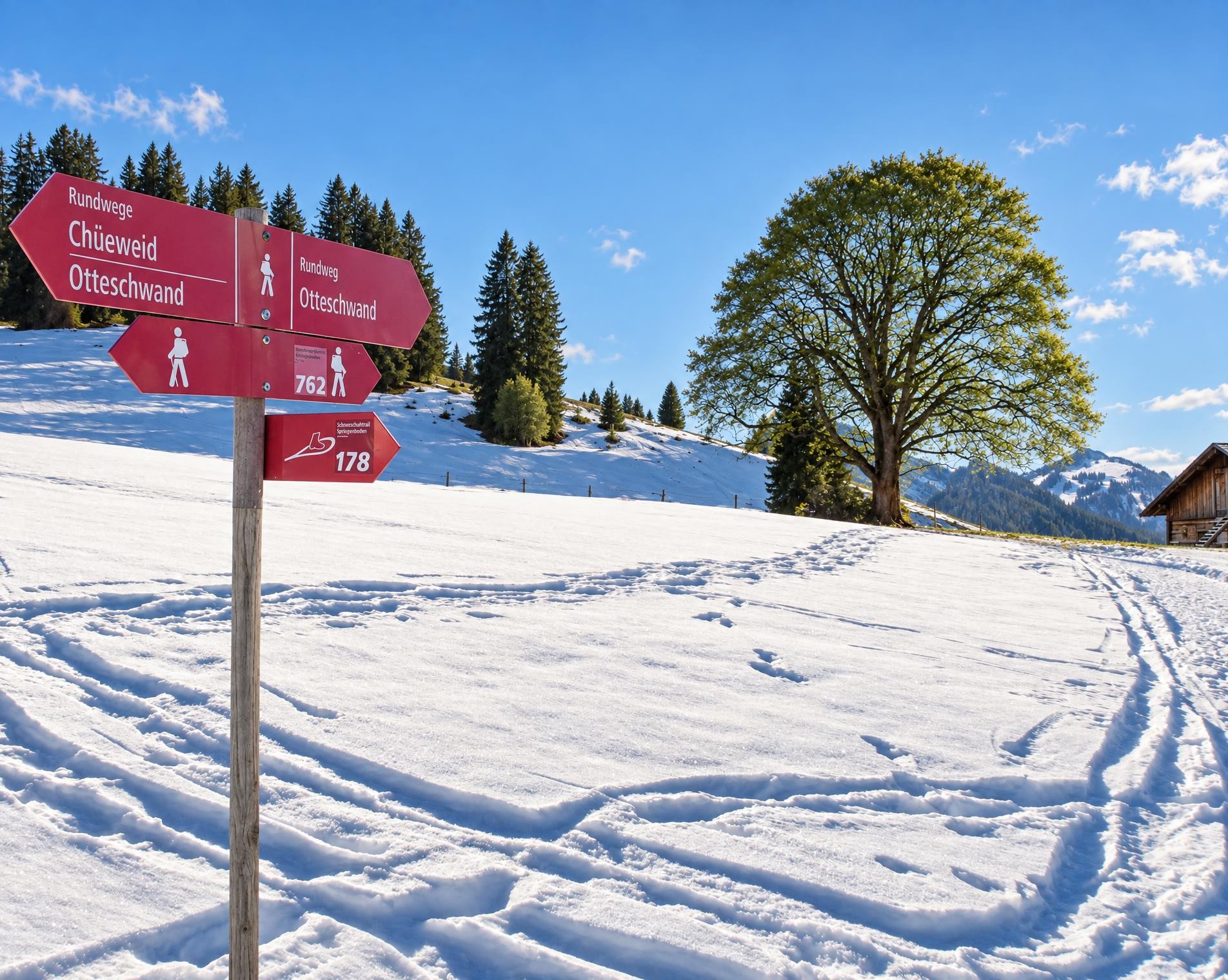 Schneeschuhtrail Springenboden