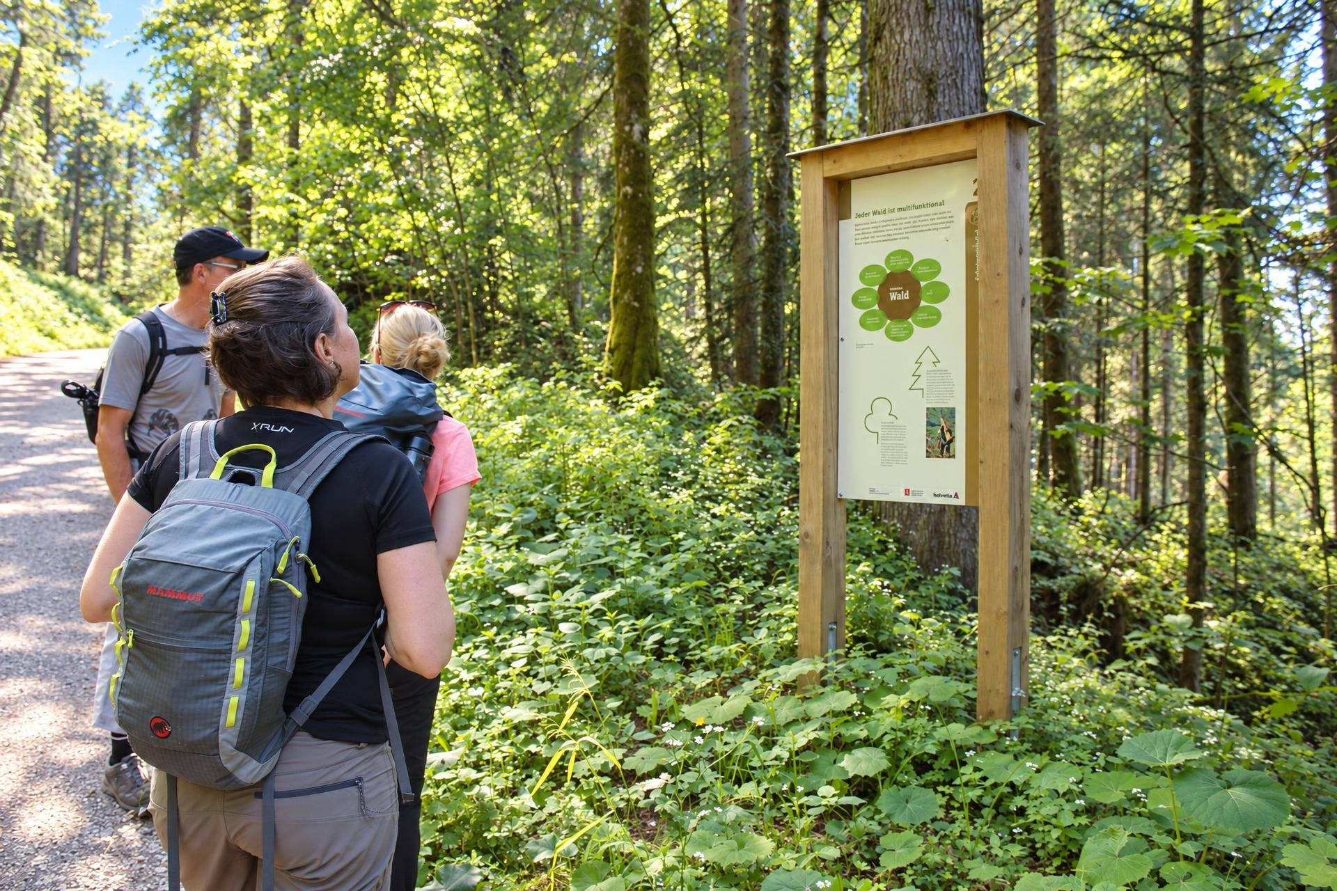 Heiligkreuz Protective Forest Trail