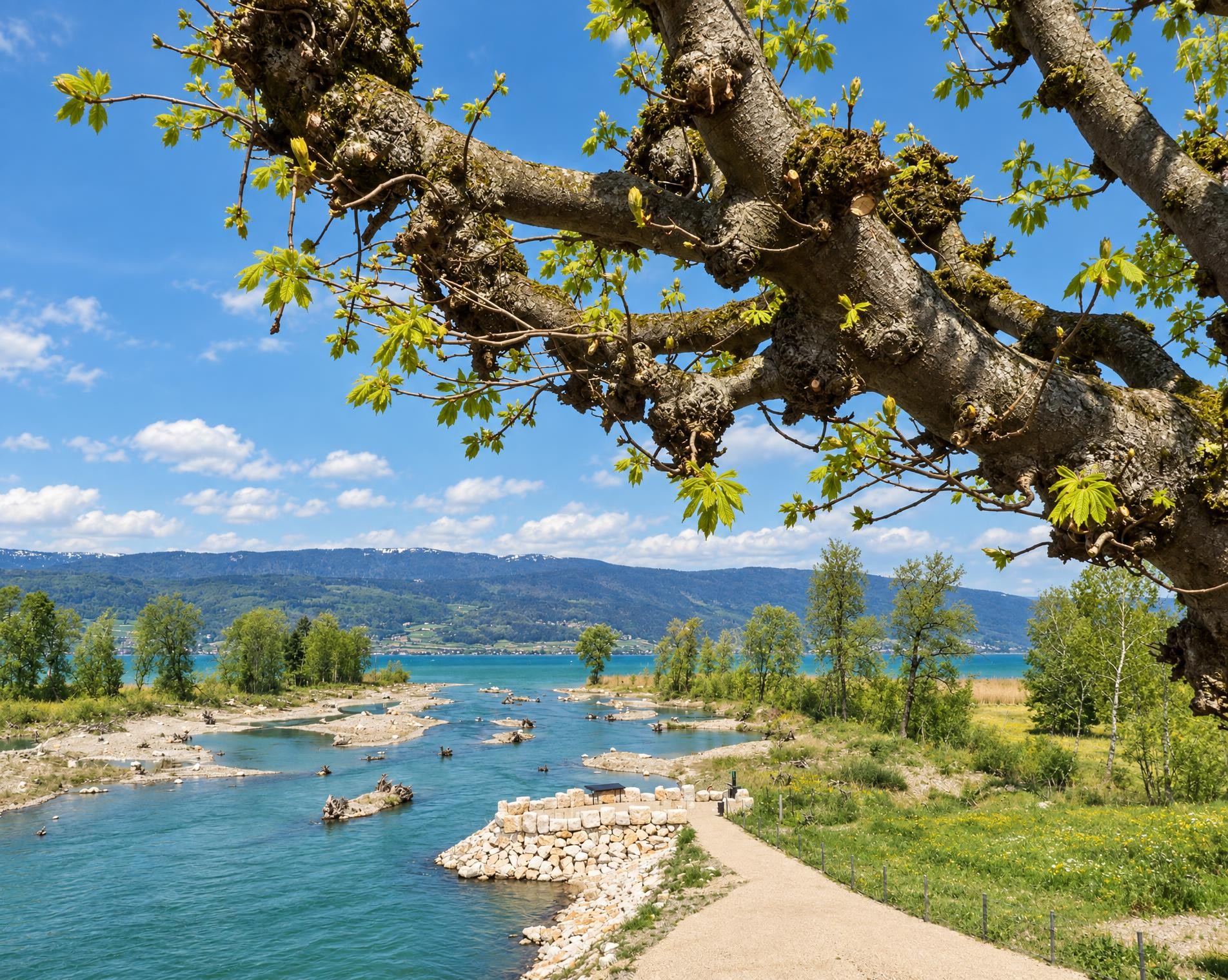 Seeland-Solothurn-Weg