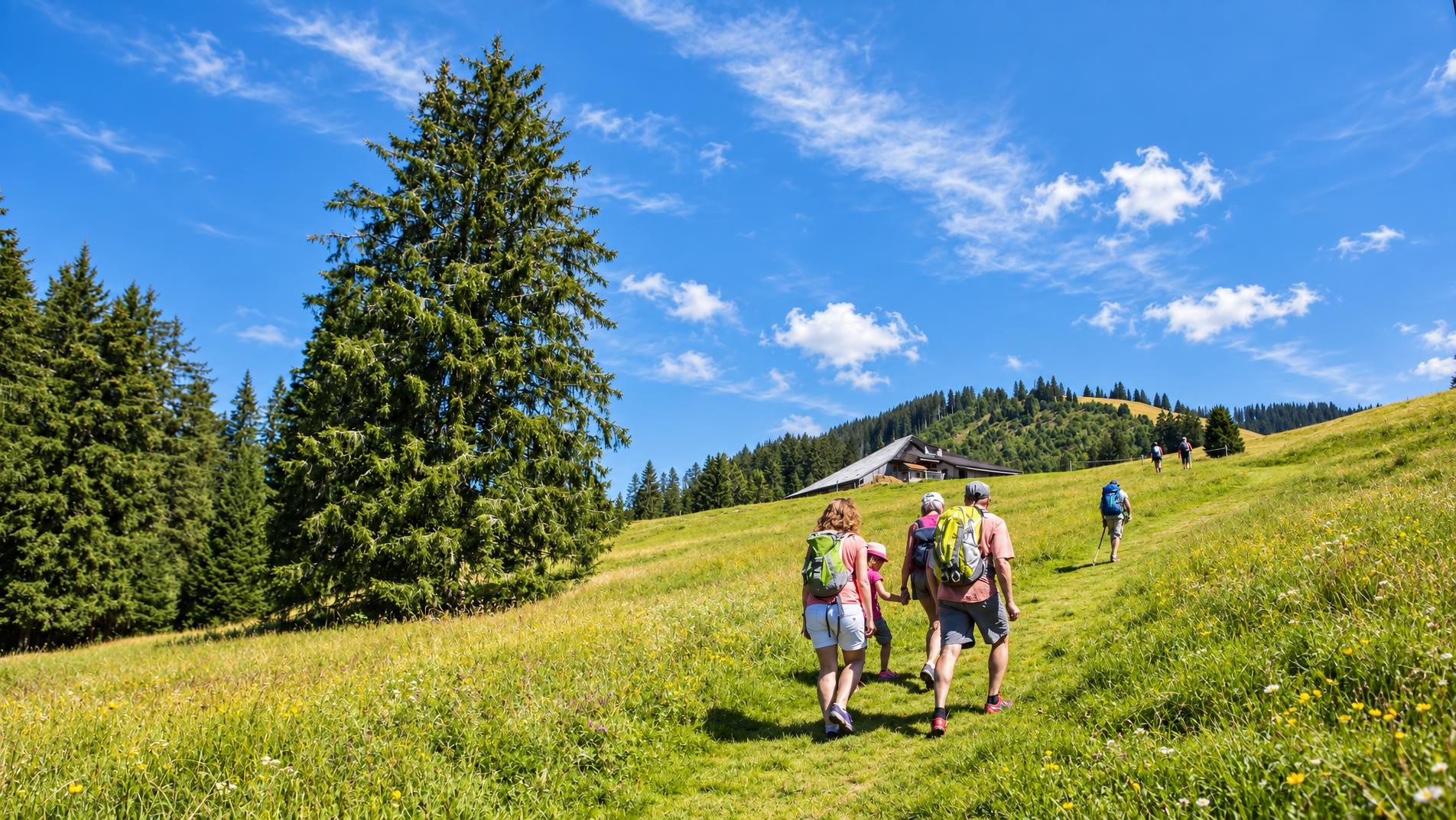Sentier panoramique des Paccots
