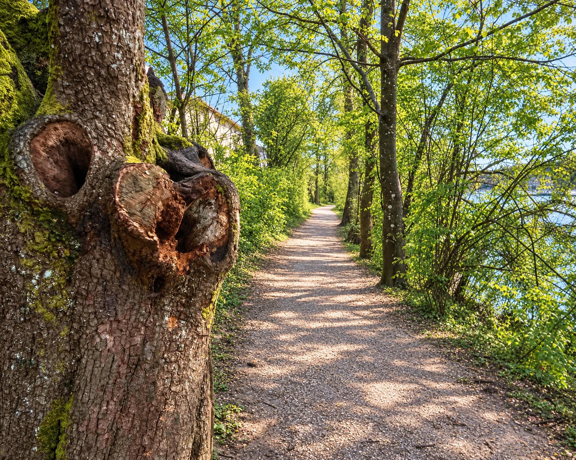 Solothurner Uferweg