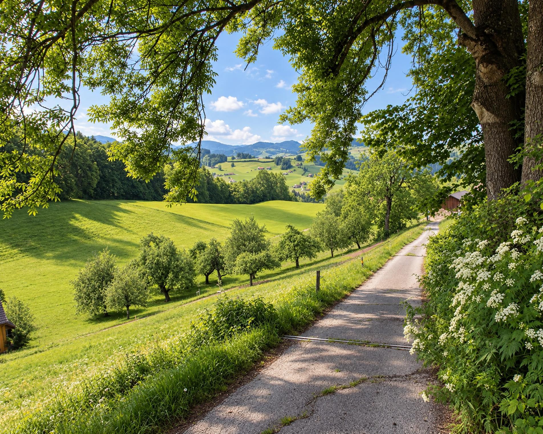 St. Galler Panoramaweg