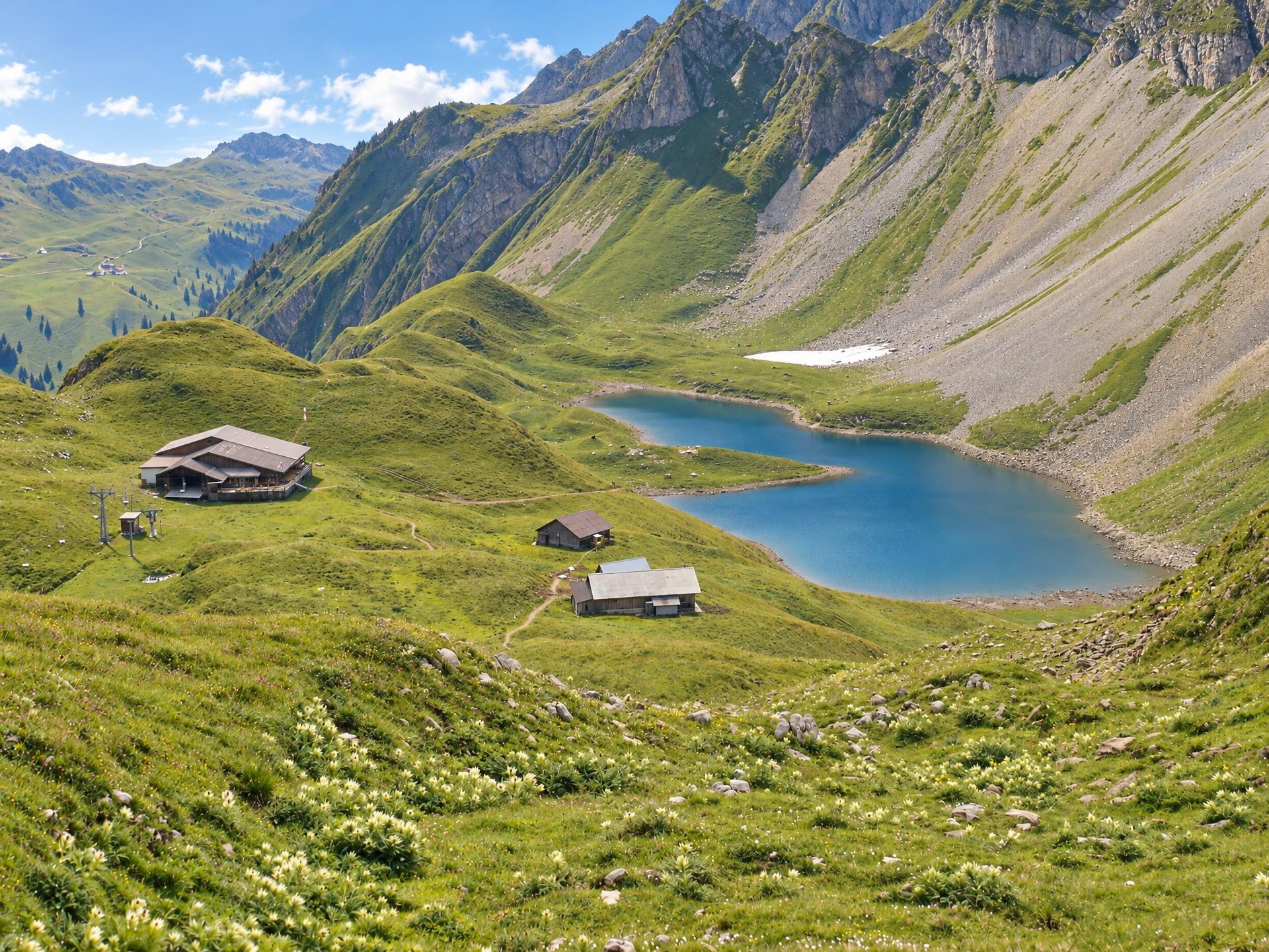 Brienzer Rothorn Ibex Trek
