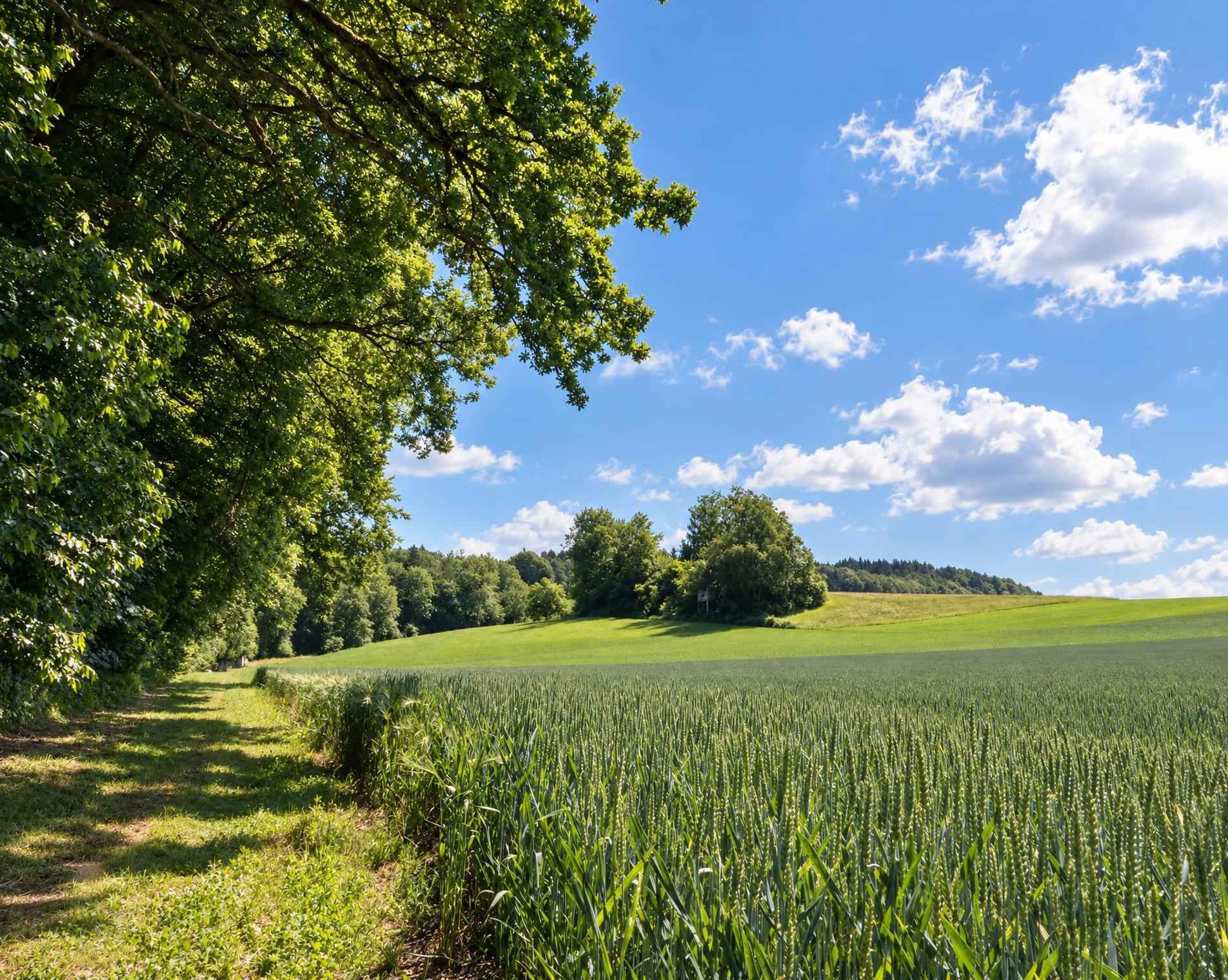 Tüfelschilen-Schauenberg Weg