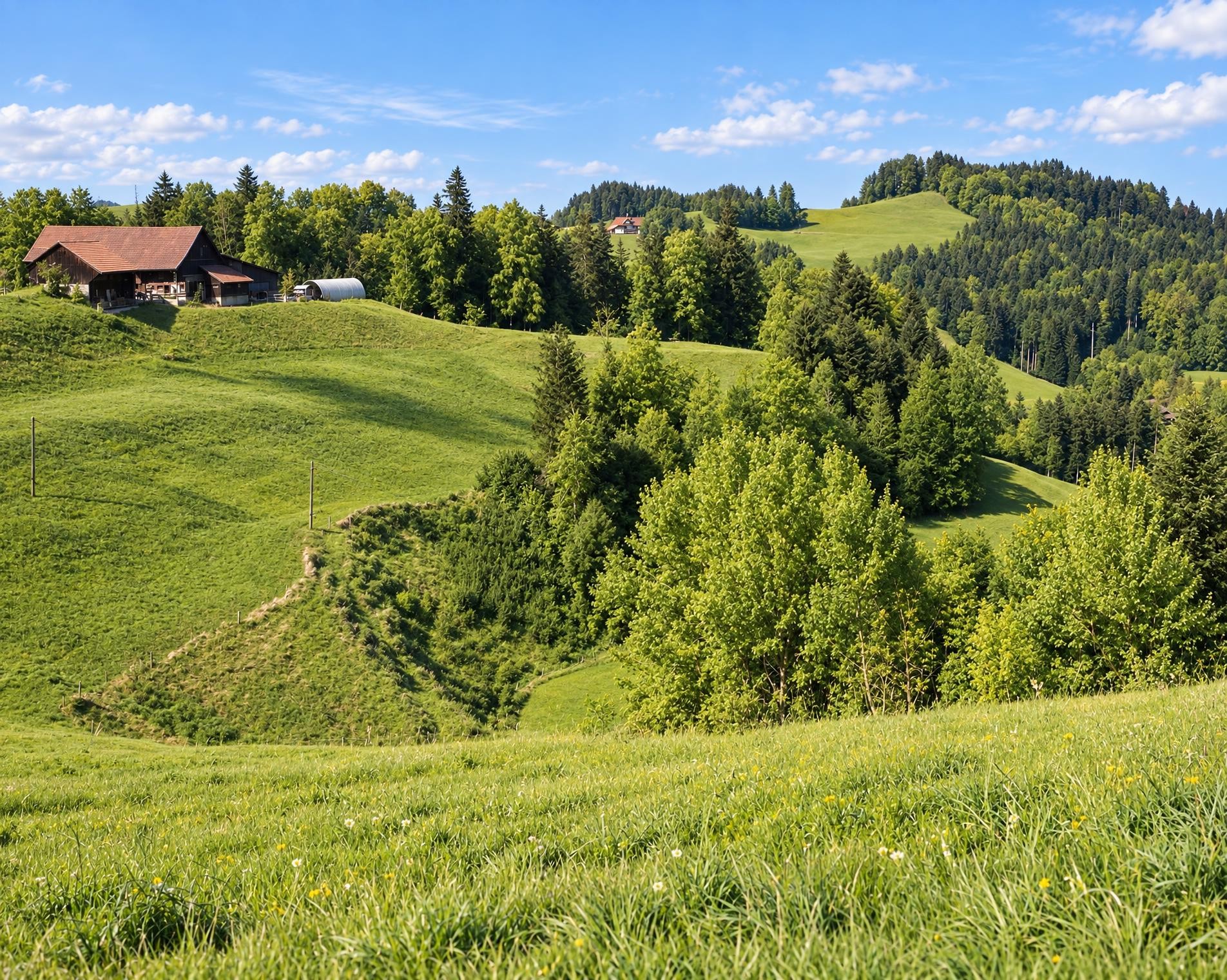 Thurgauer Tannzapfenweg