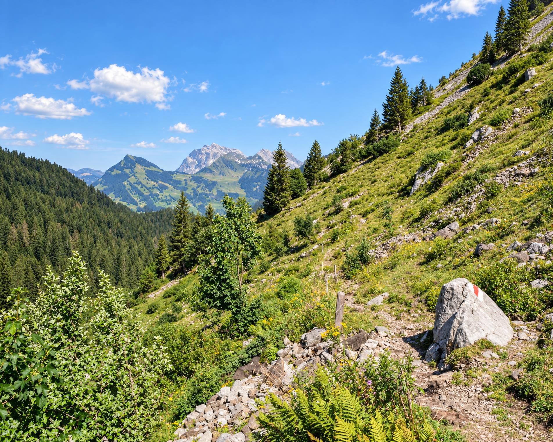 Toggenburger Höhenweg, Stage 2/6