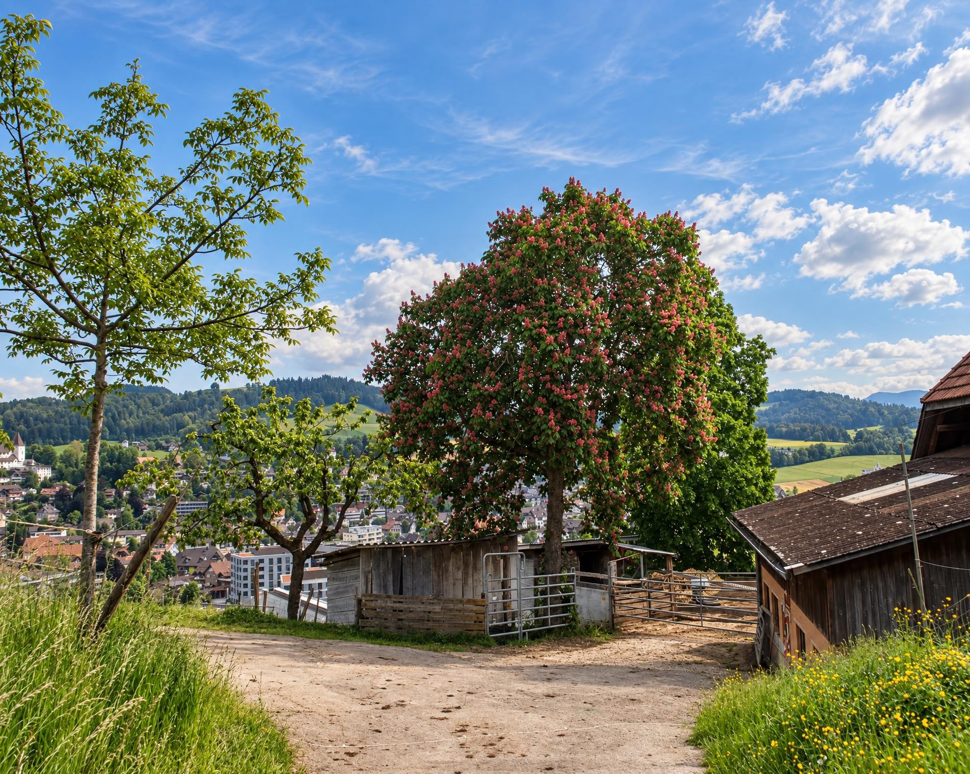 Trans Swiss Trail, Stage 10/32
