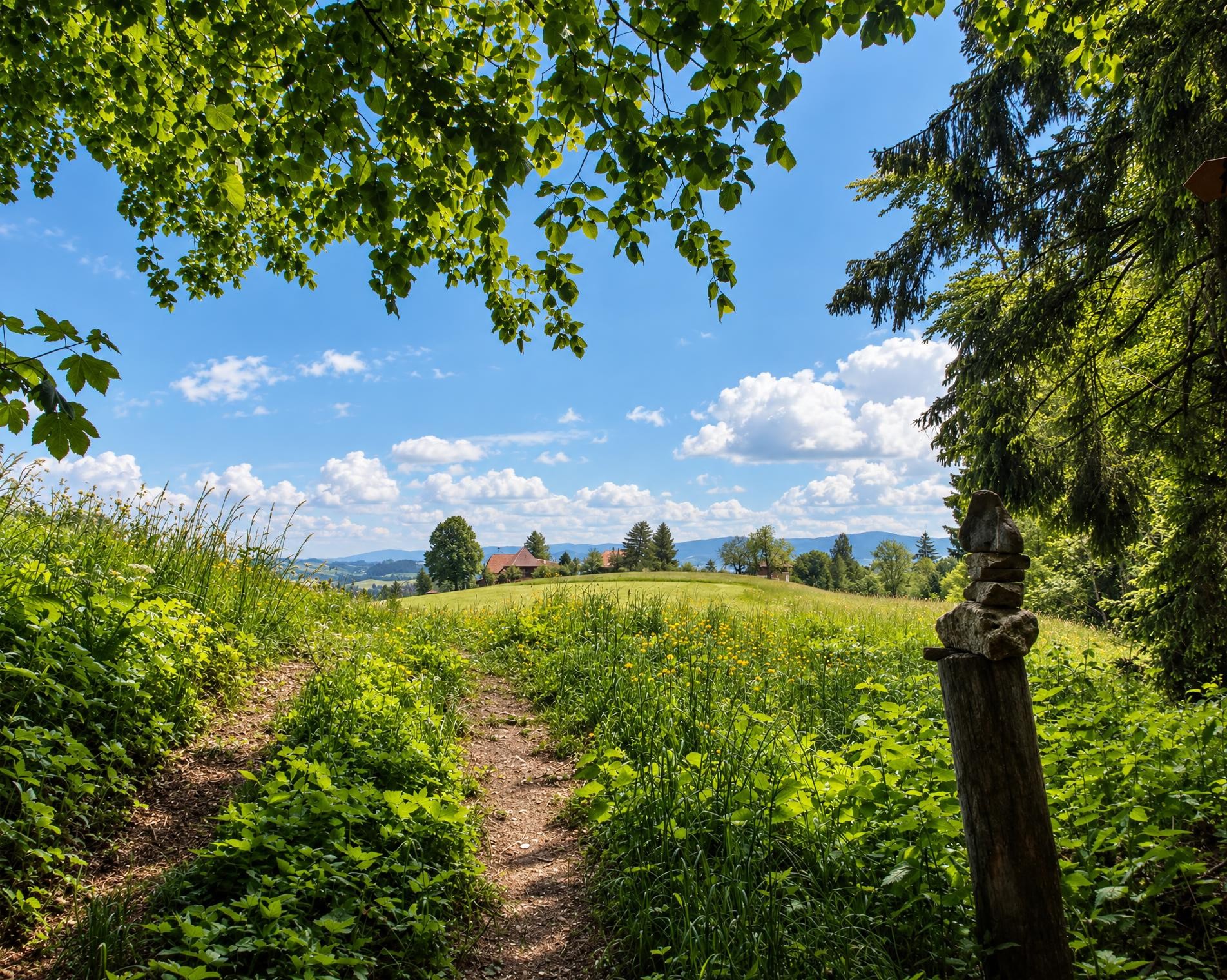 Trans Swiss Trail, Stage 11/32