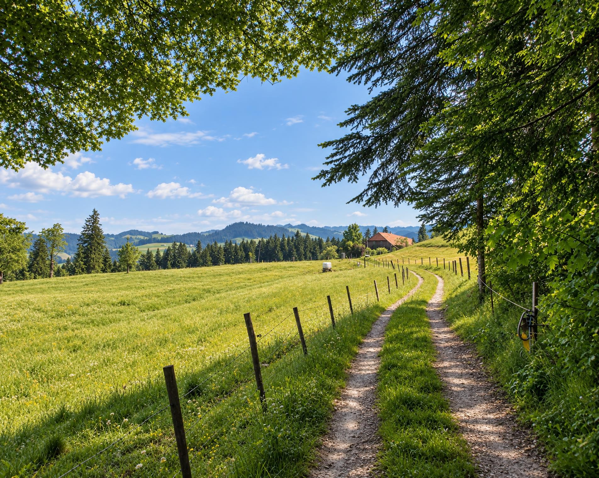 Trans Swiss Trail, Stage 13/32