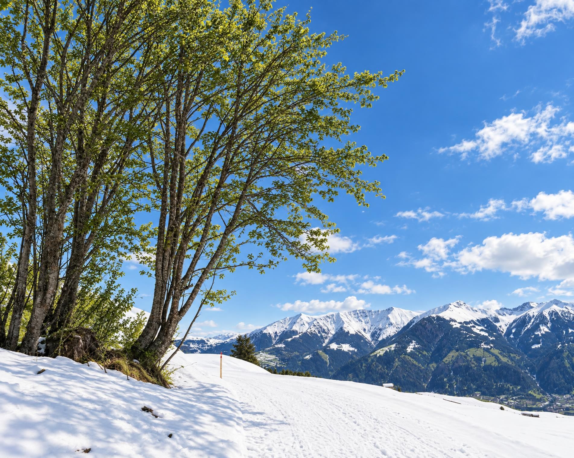 Tschappina-Winterwanderweg
