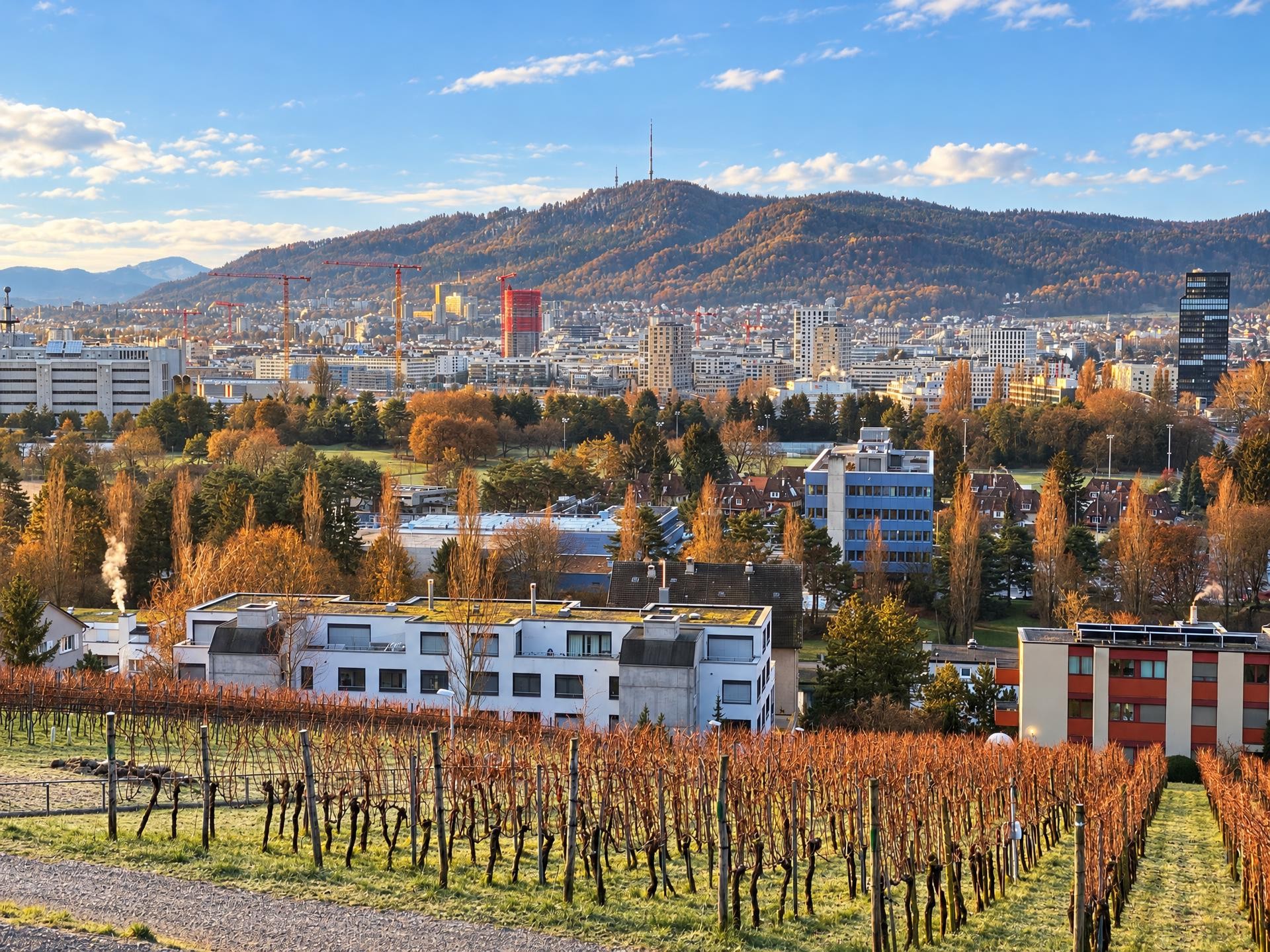 Exploring Altstetten