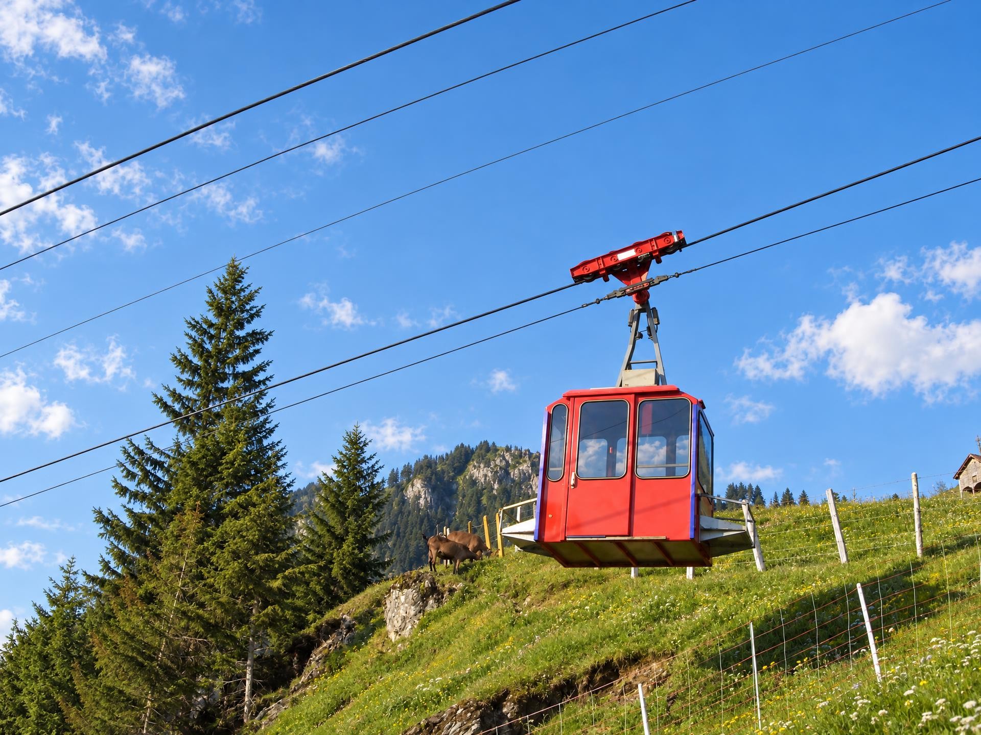 Uri Legends Trail for the Fit – a) Scharti Route via Saum to Isenthal Dorf, Isenthal