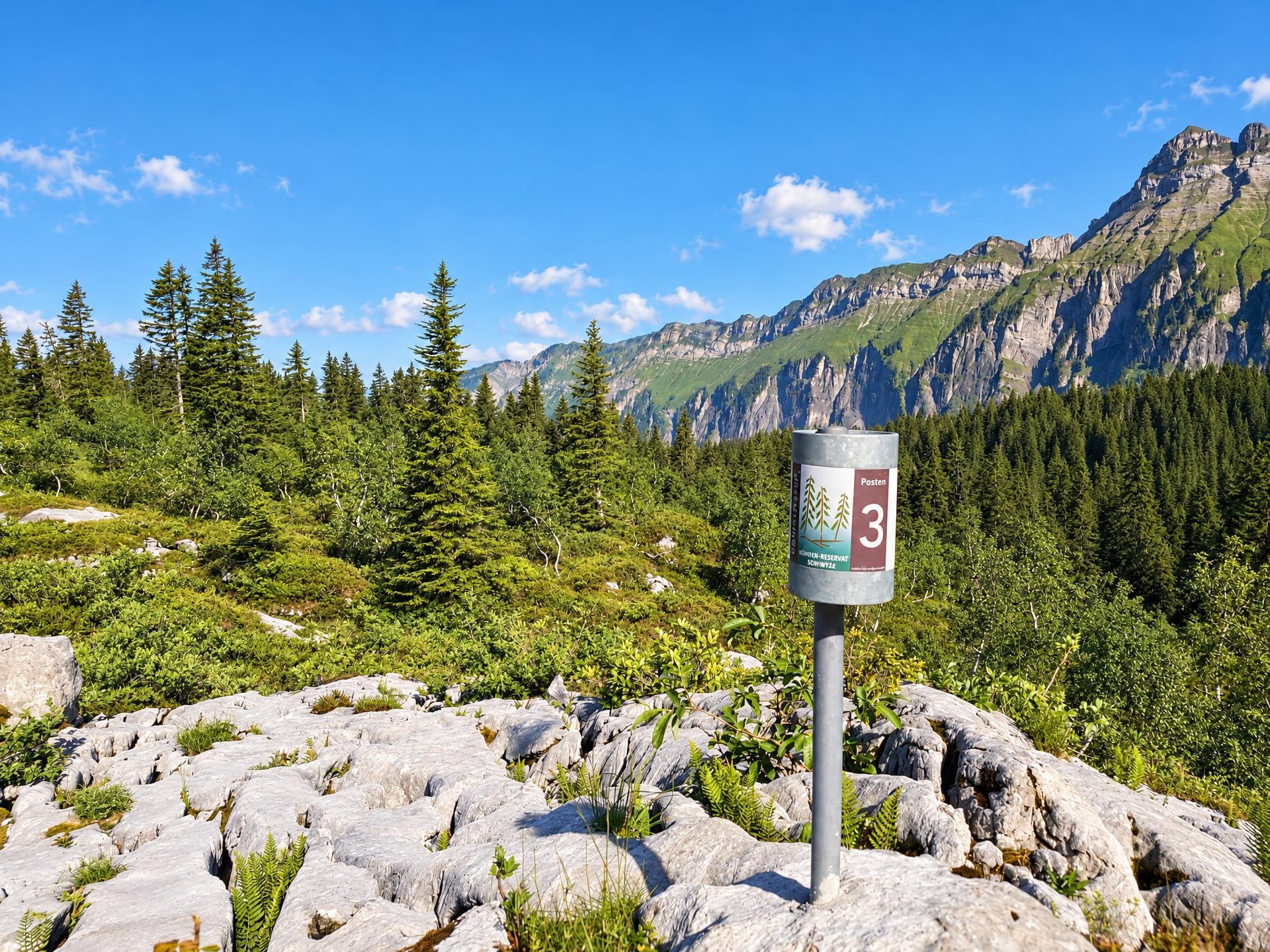Bödmeren Primeval Forest Trail
