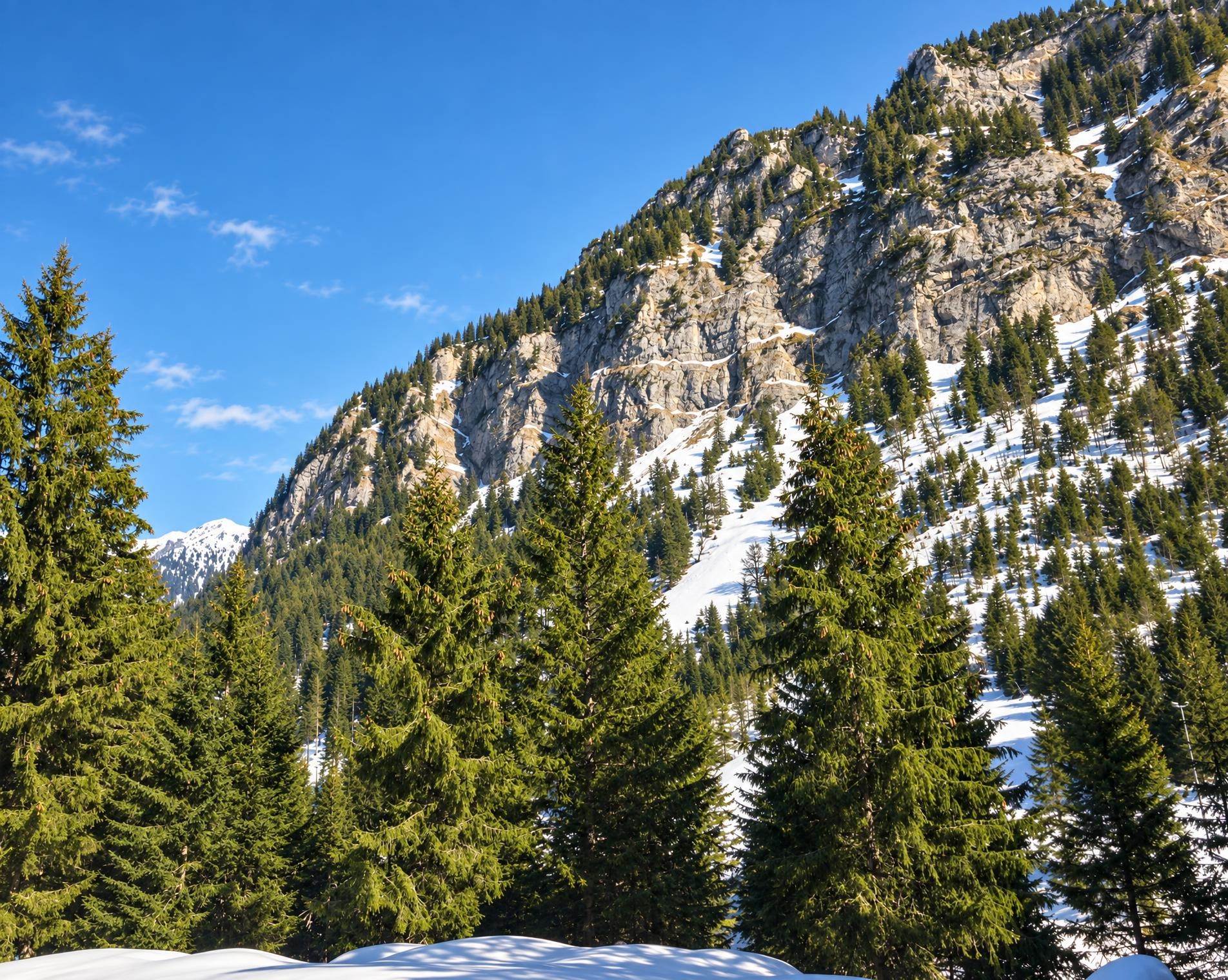Valünatal-Winterwanderweg