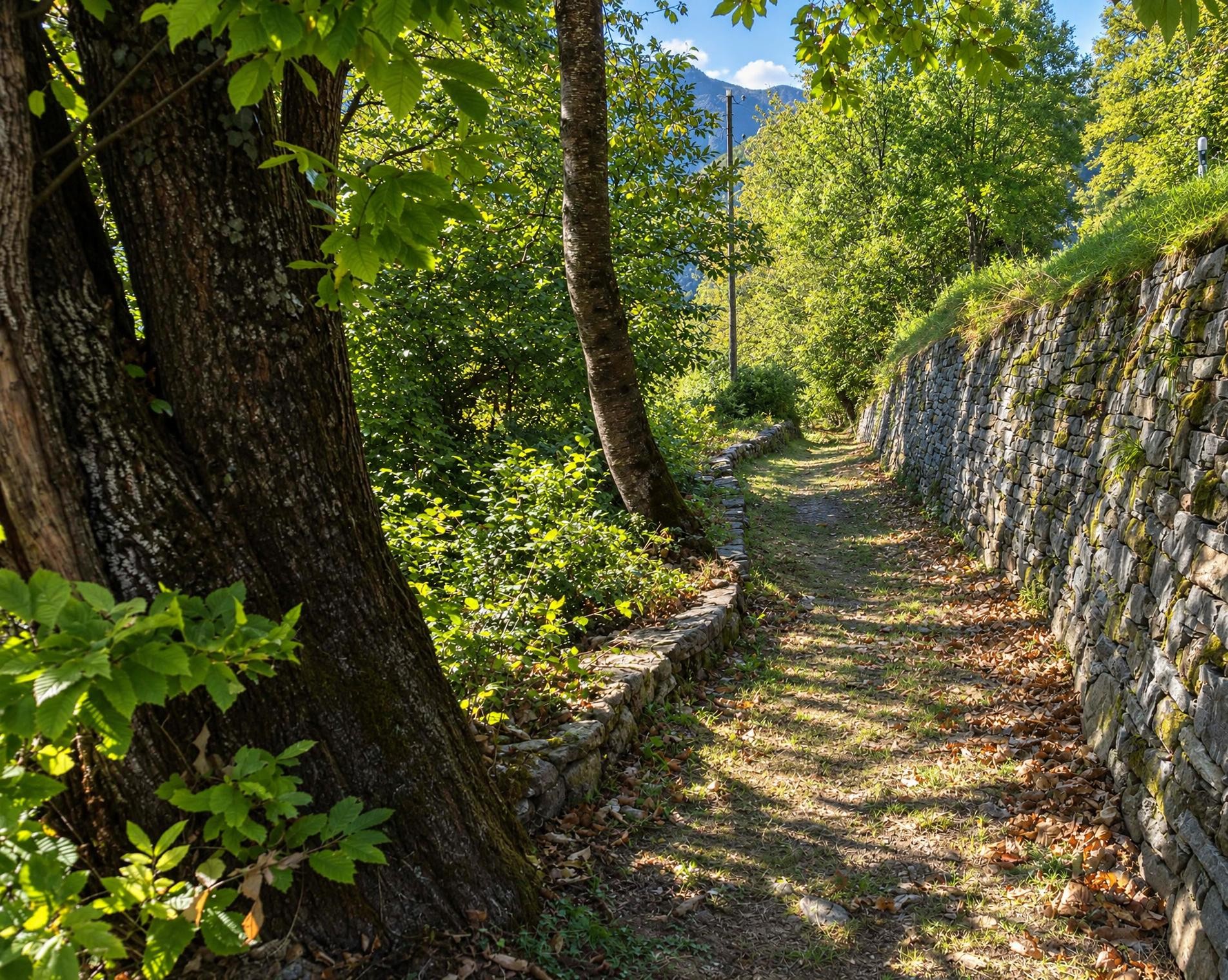 Via Calanca, Etappe 1/2