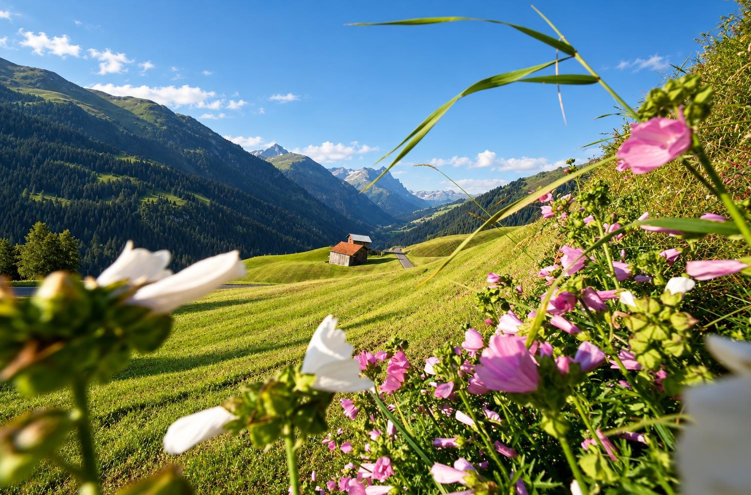 Walserweg Safiental