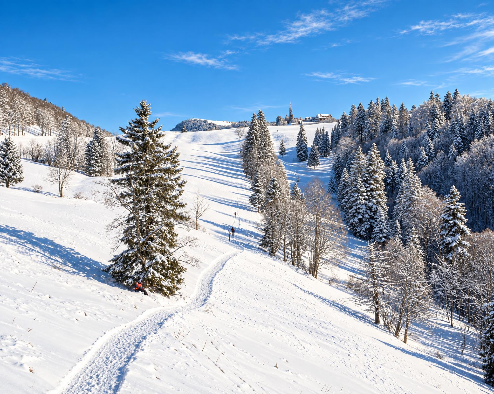 Weissenstein-Winterwanderung