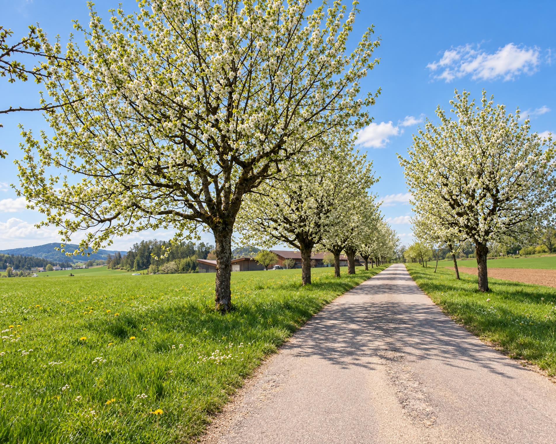 Wildenstein – Rifenstein Weg