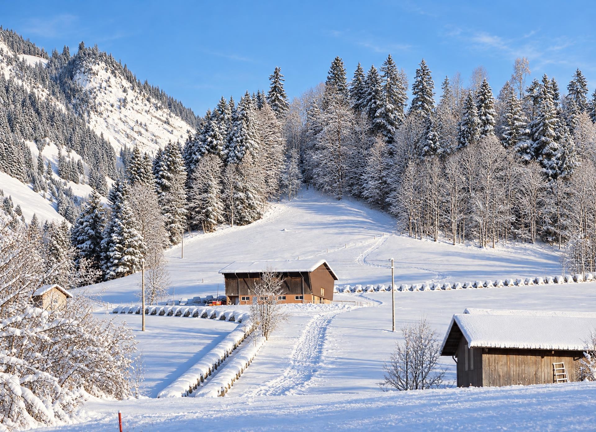 Winterwanderung Rund um den Golfplatz in Flühli