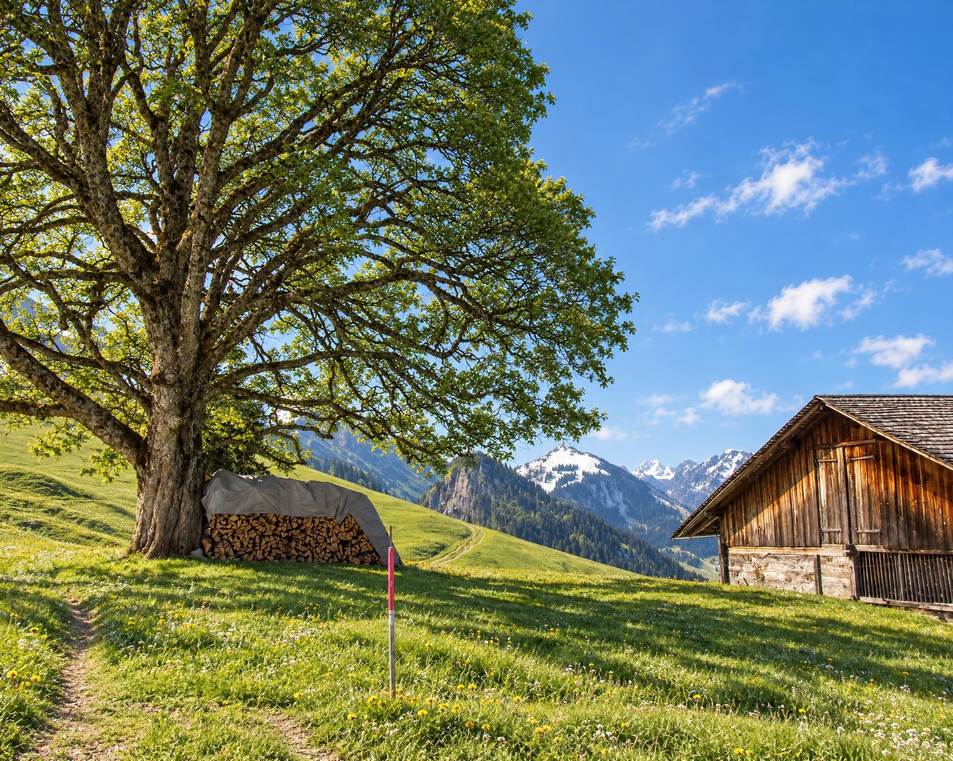 Winterwanderweg Springenboden