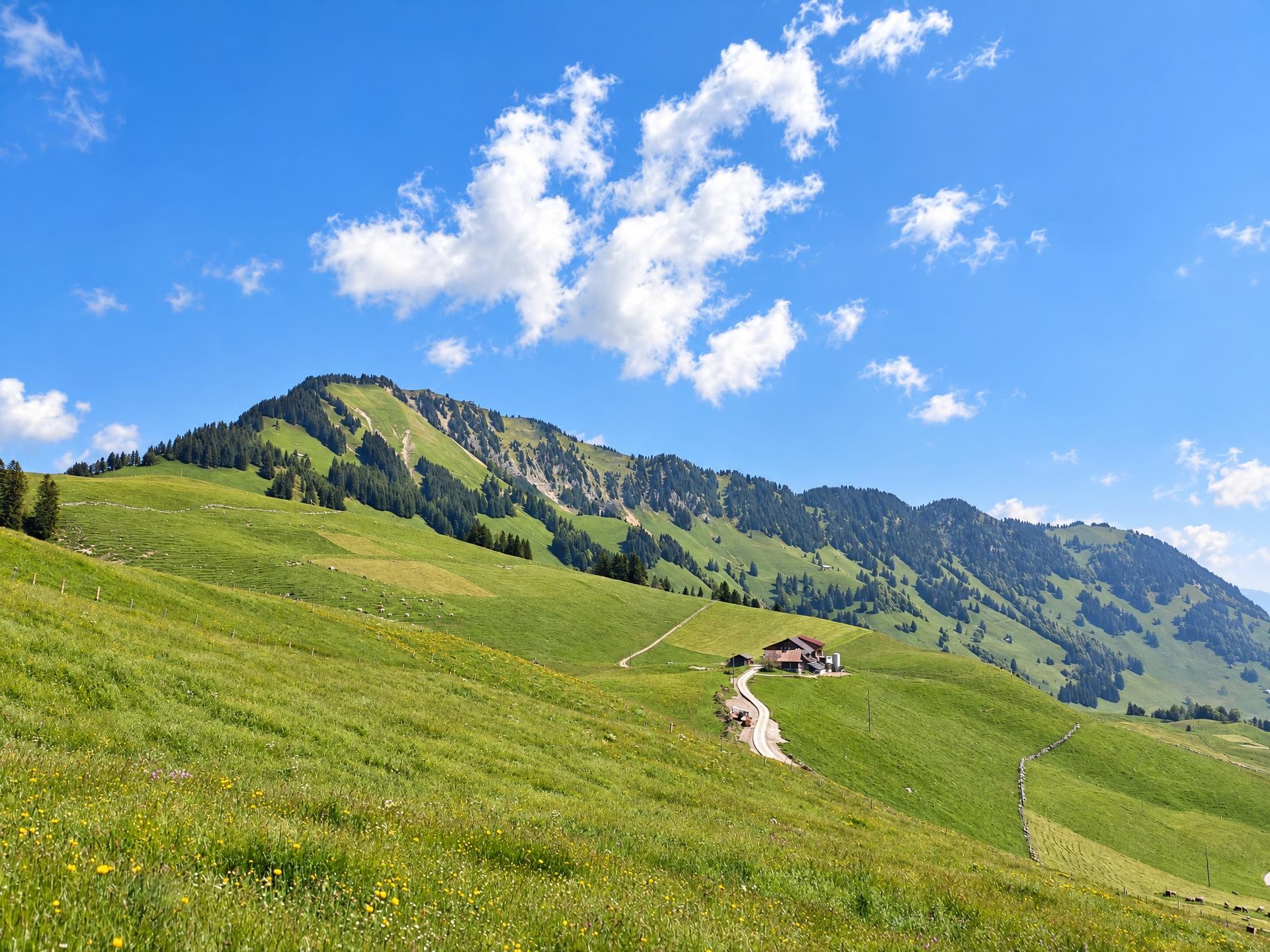 Wirzweli - Gummen - Stanserhorn