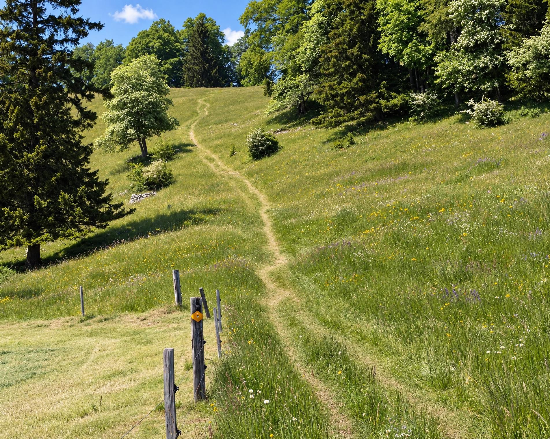 Wolfsschlucht-Weg