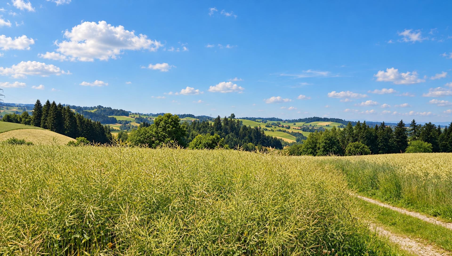 Zell - Willisau