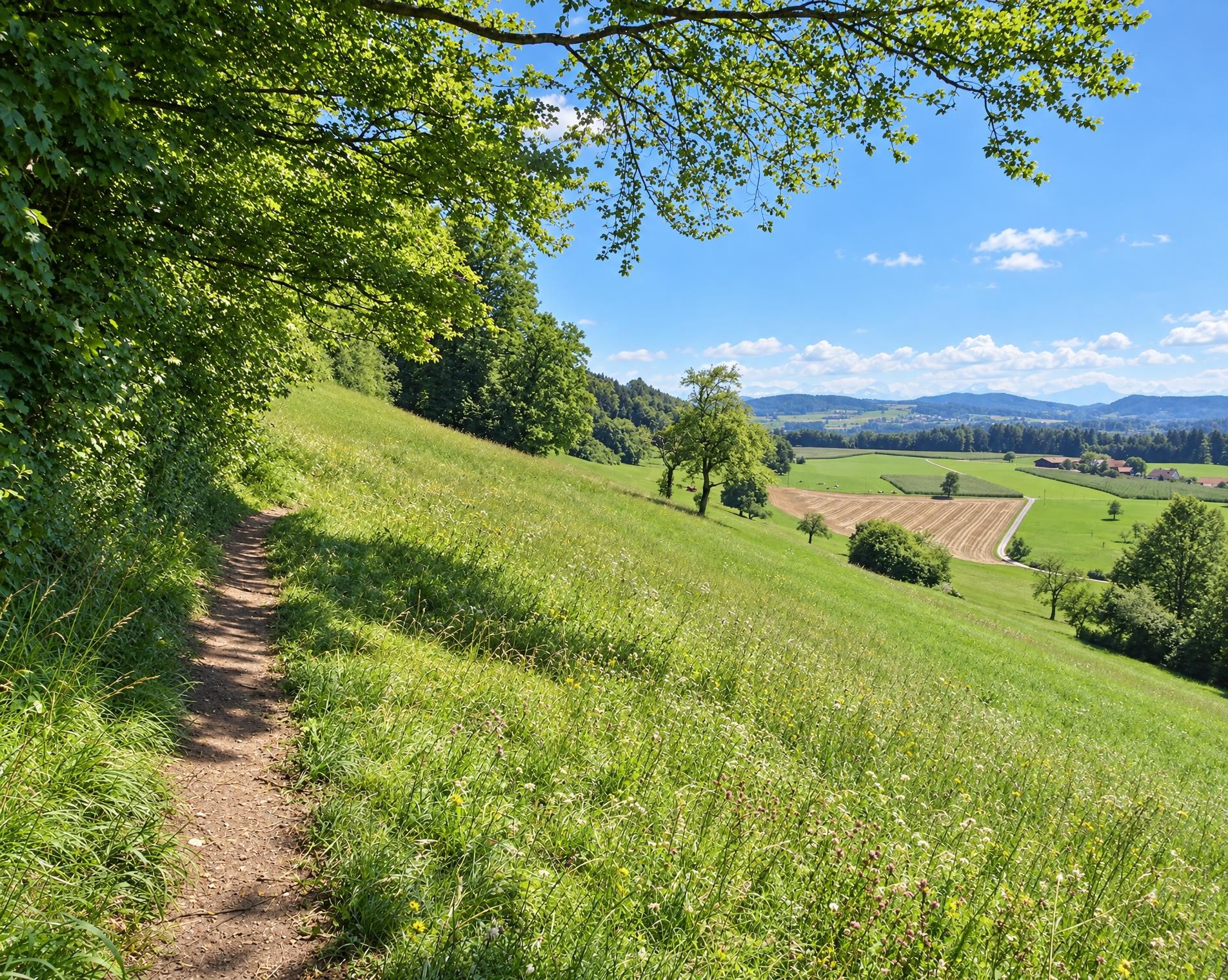 Züri Oberland-Höhenweg
