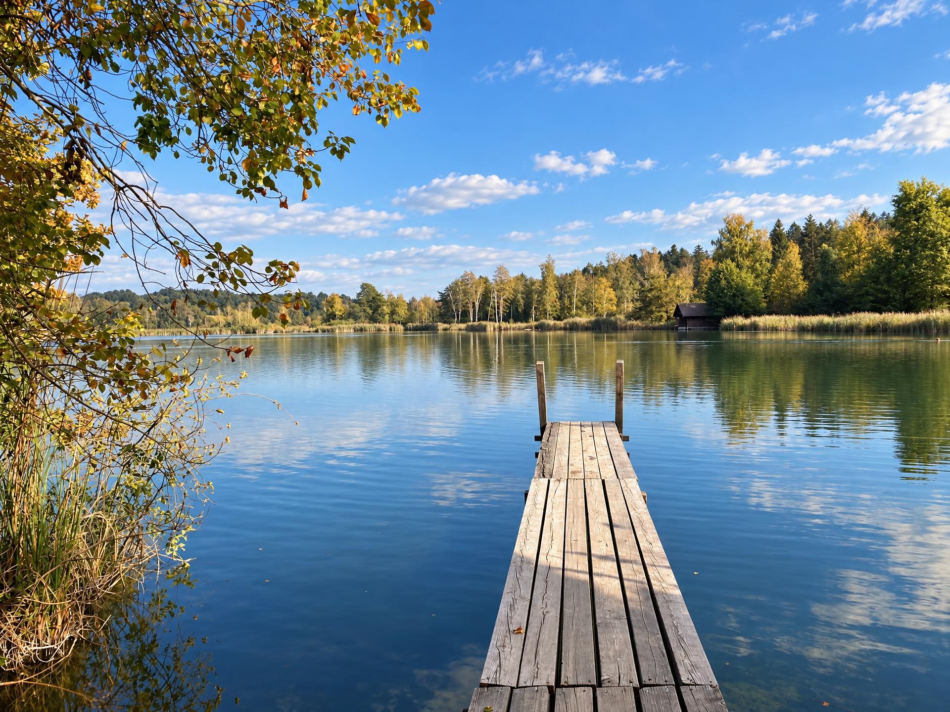 Zürcher Weinland Weg