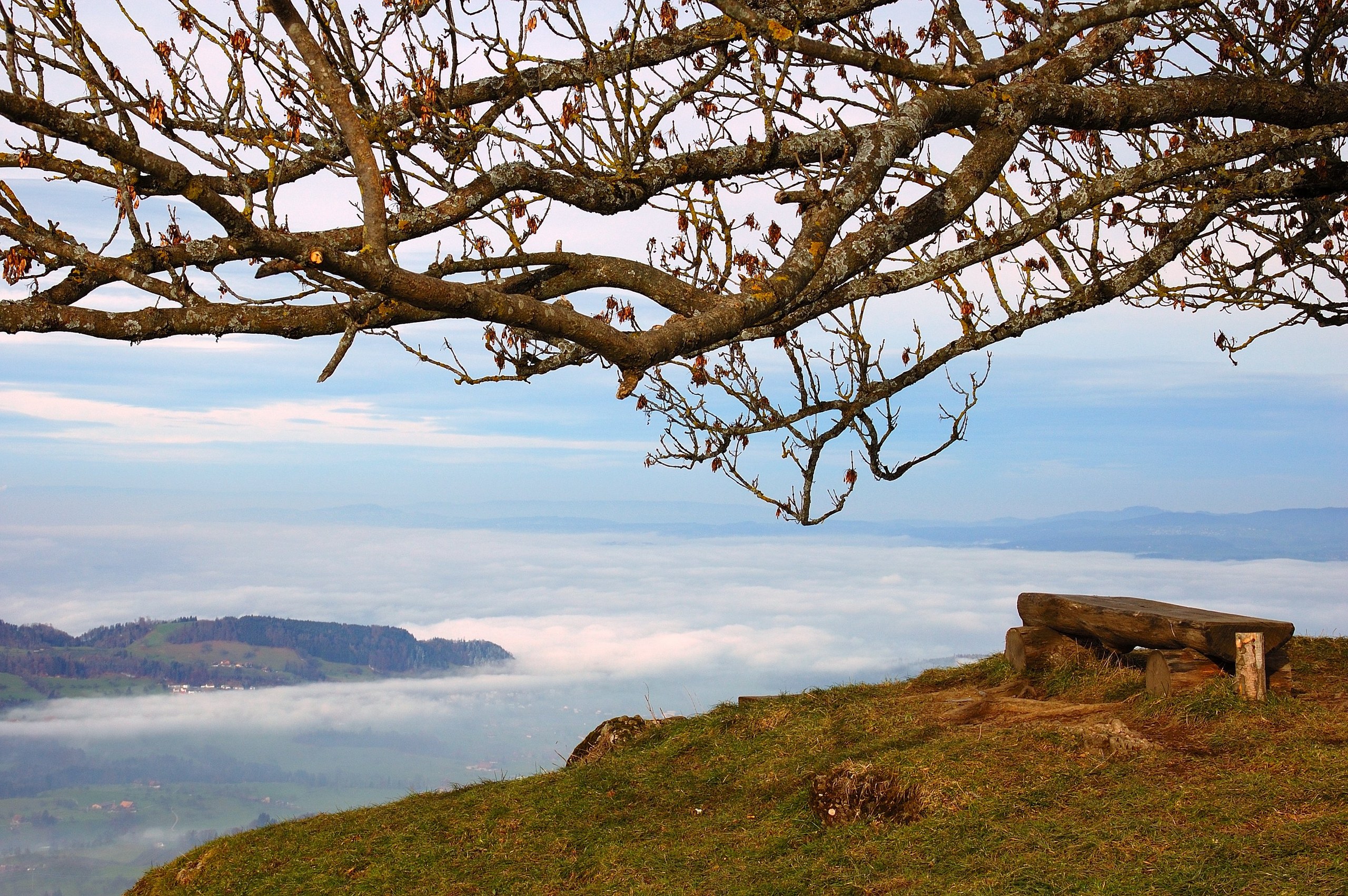The Rural Route: Seebodenalp–Rigi Kaltbad (or vice versa)